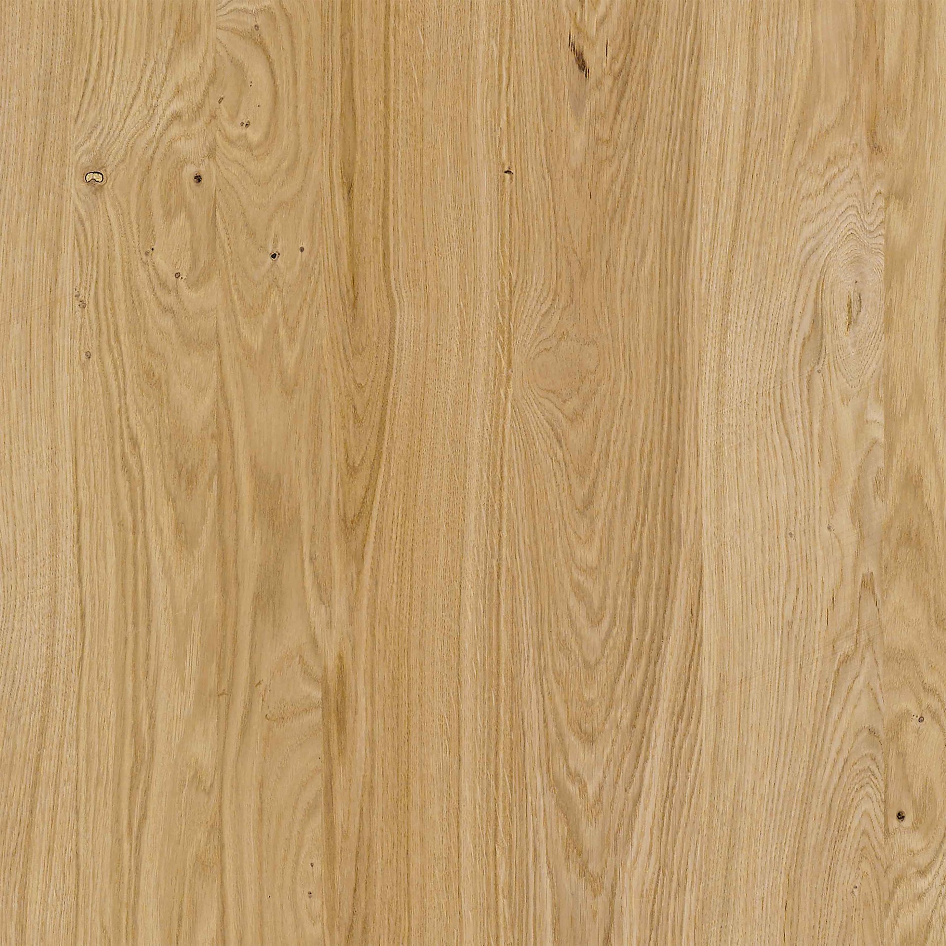 Farbkachel in wildeiche furniert geölt