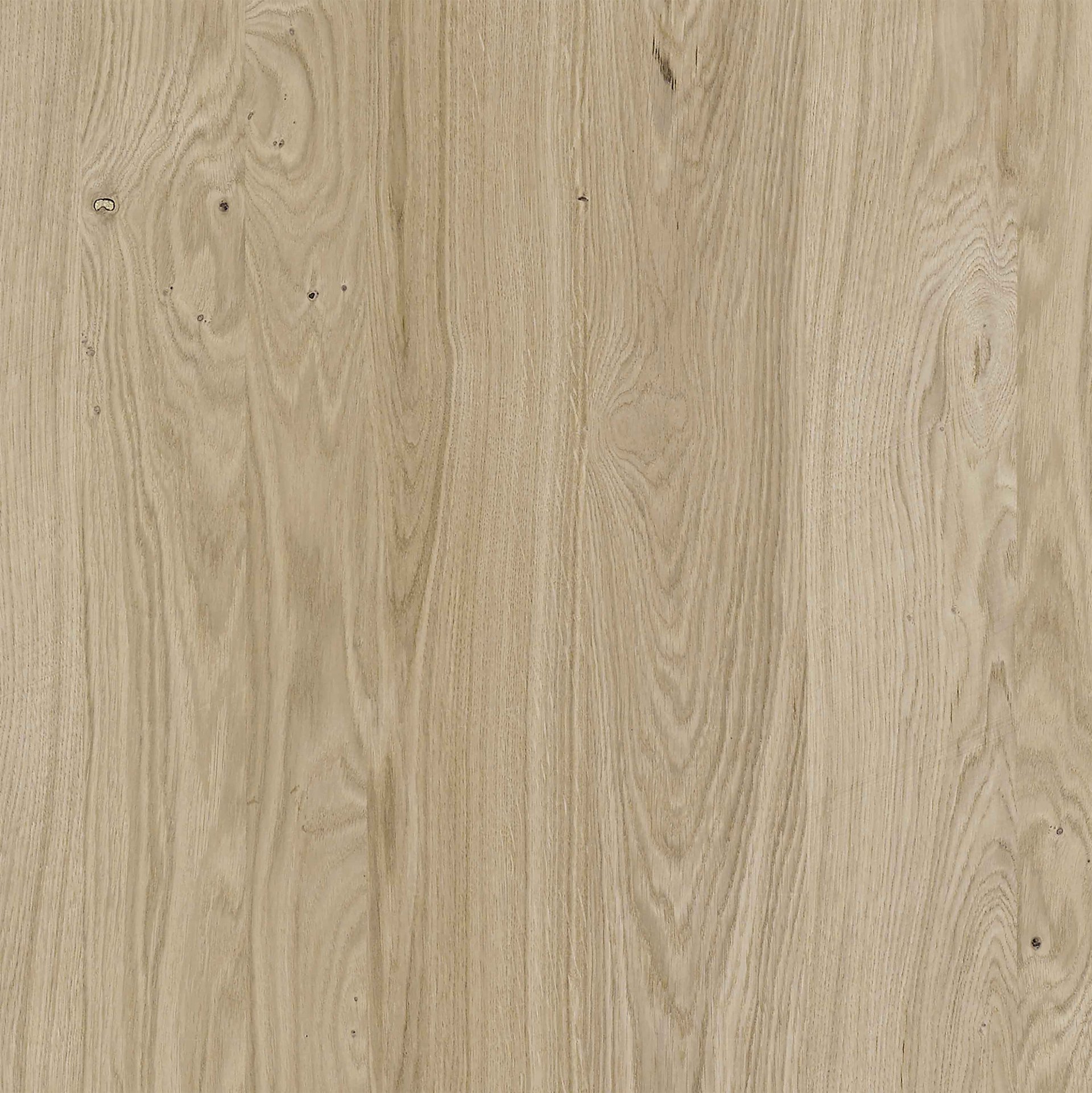 Farbkachel in bergeiche furniert