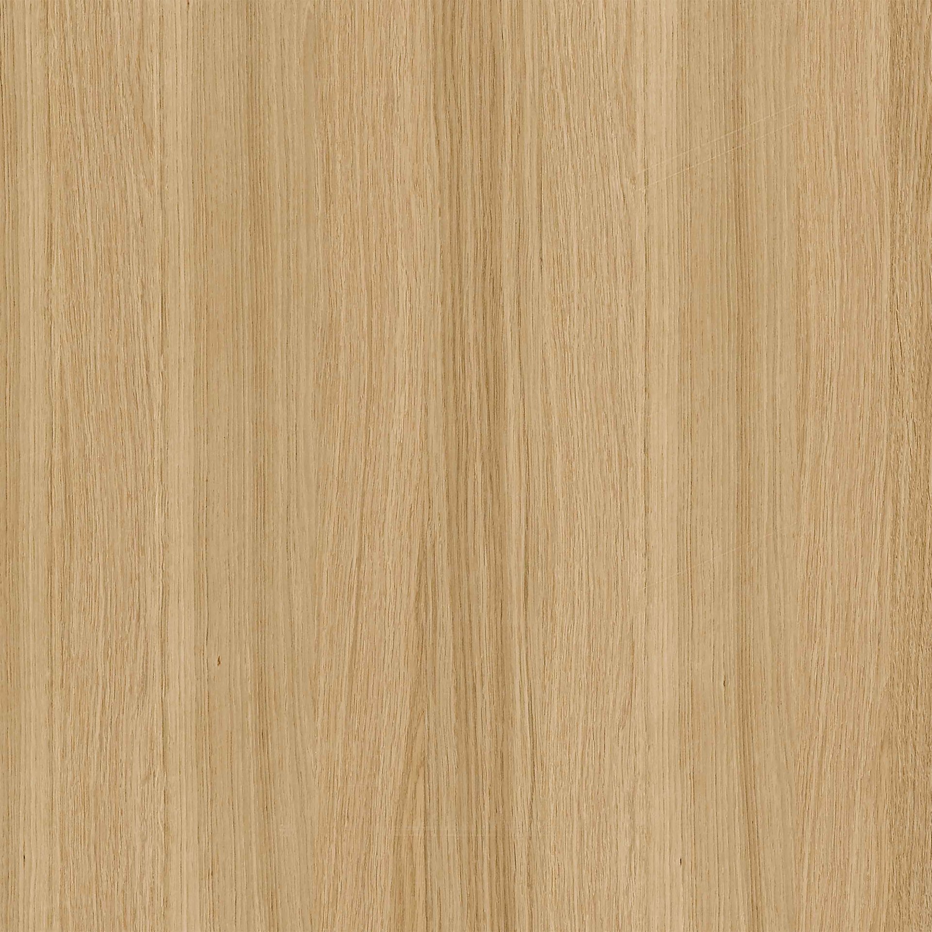 Farbkachel in eiche natur nordic