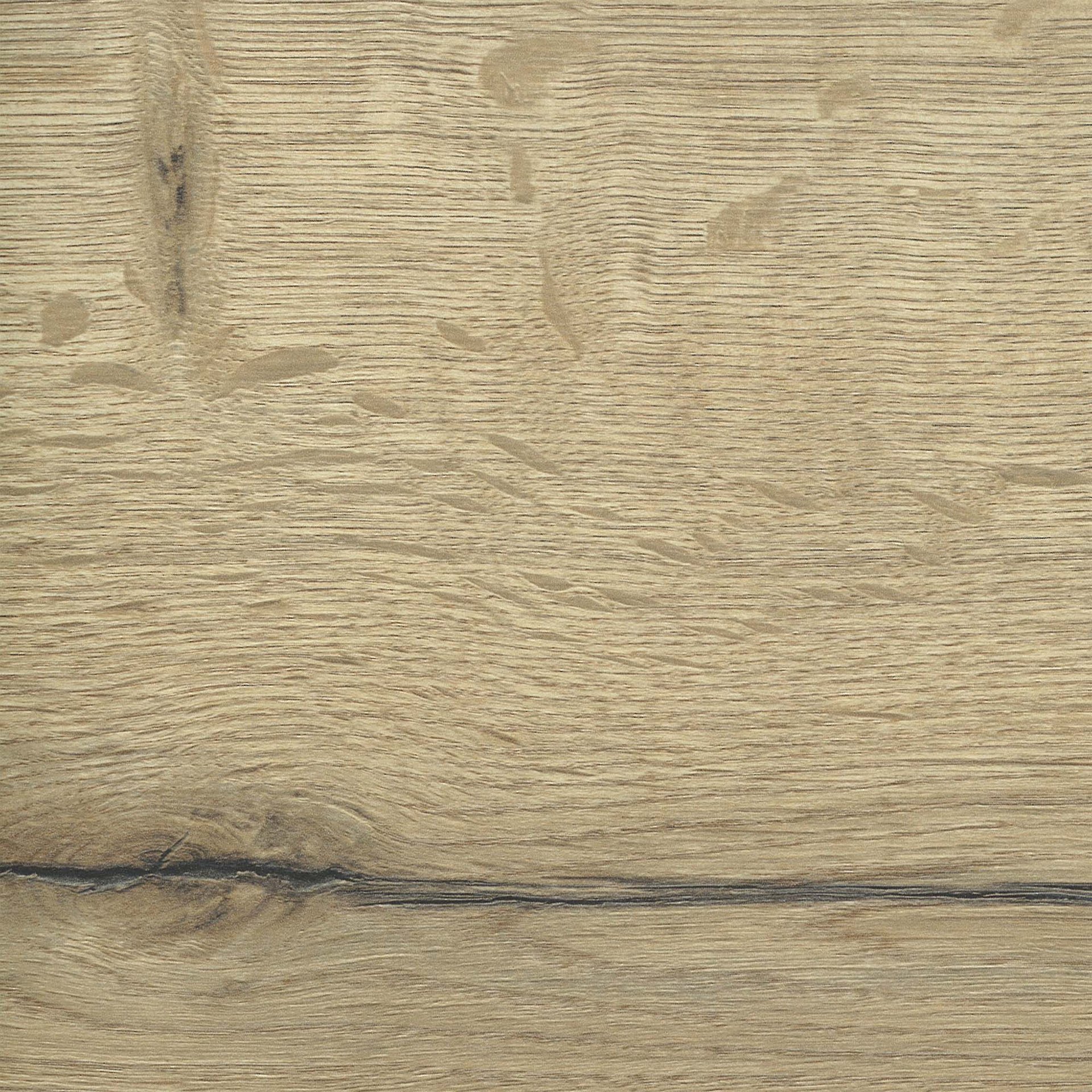 bergeiche Farbkachel in bergeiche