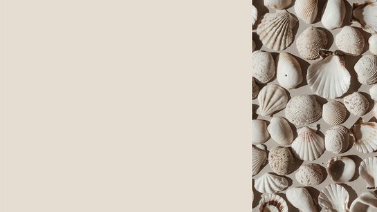 Farbkachel in angoraweiß, daneben eine farblich passende Abbildung von Muscheln