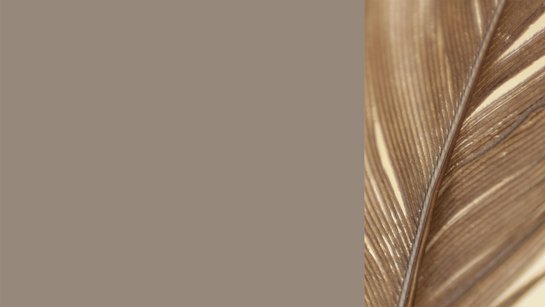 Farbkachel in lehmbraun, daneben eine farblich passende Vogelfeder