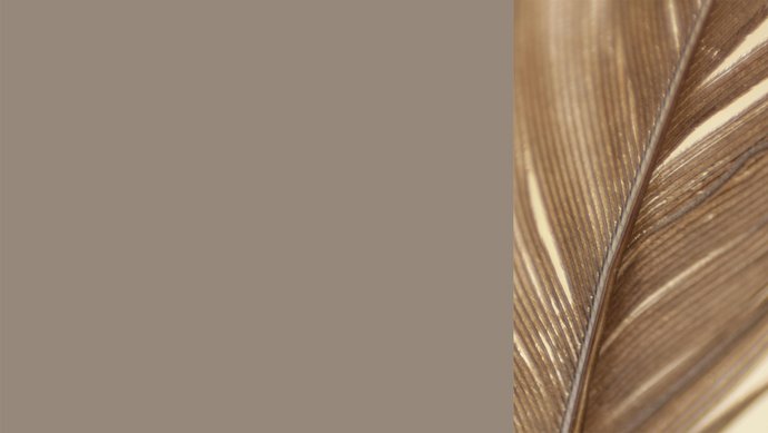 Farbkachel in lehmbraun, daneben eine farblich passende Vogelfeder