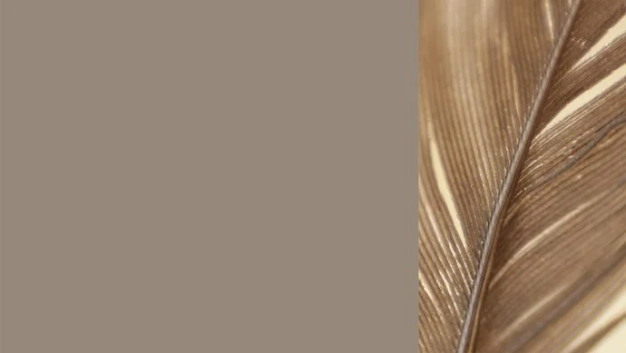 ewe nanoo® lehmbraun Farbkachel in lehmbraun, daneben eine farblich passende Vogelfeder