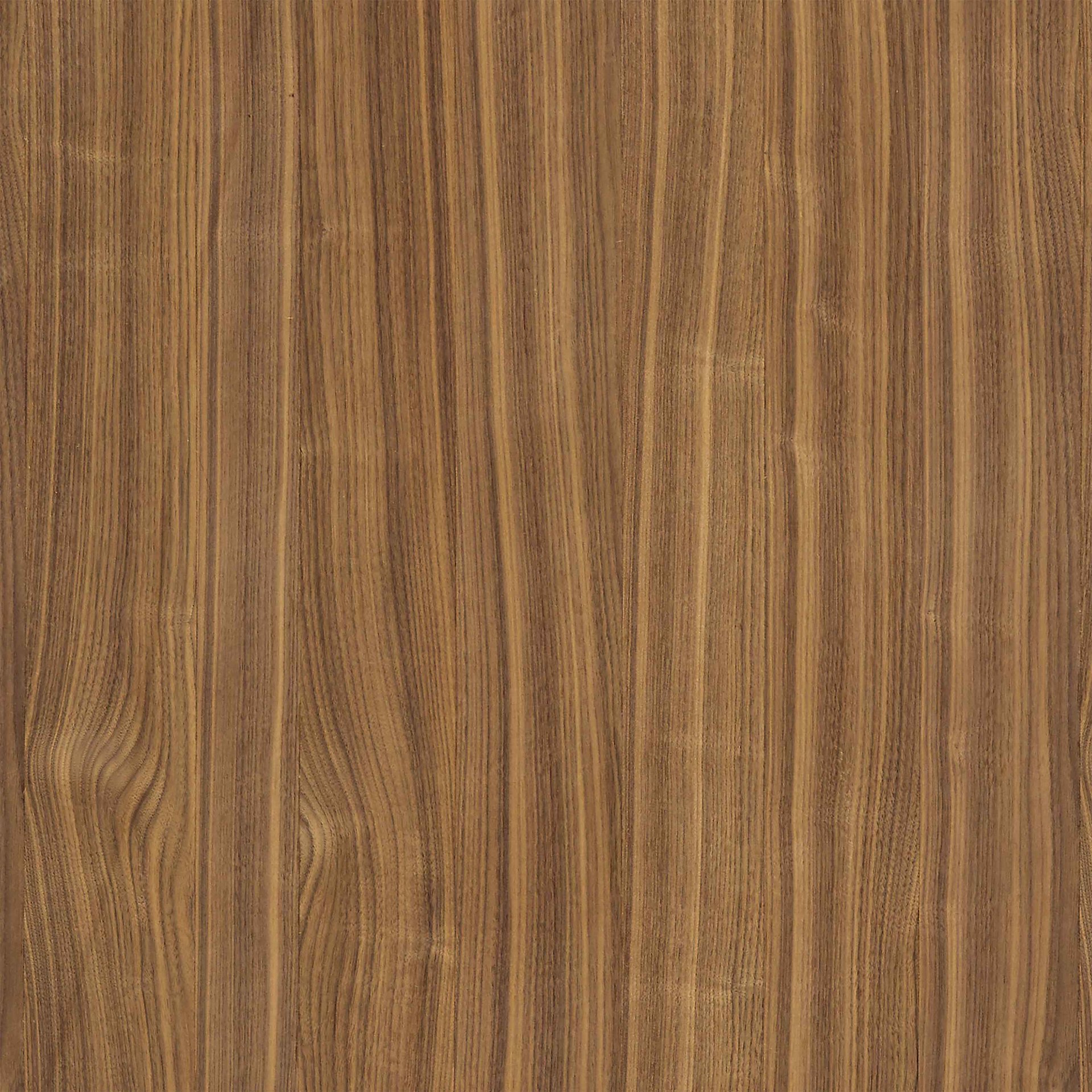 Farbkachel in ambernuss furniert