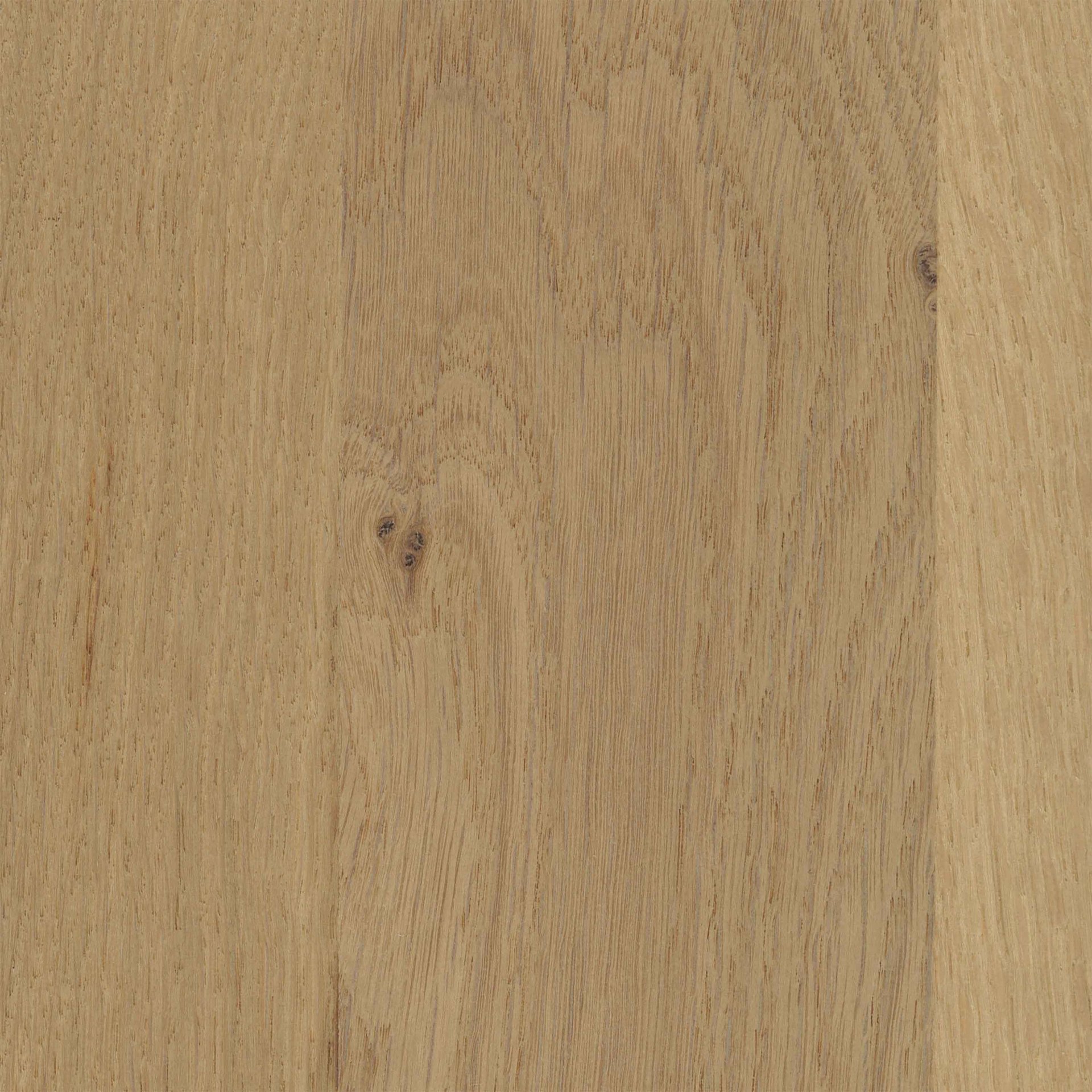 Farbkachel in wildeiche furniert