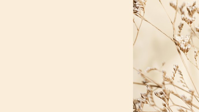 Farbkachel in beige, daneben ein farblich passendes Pflanzenbild