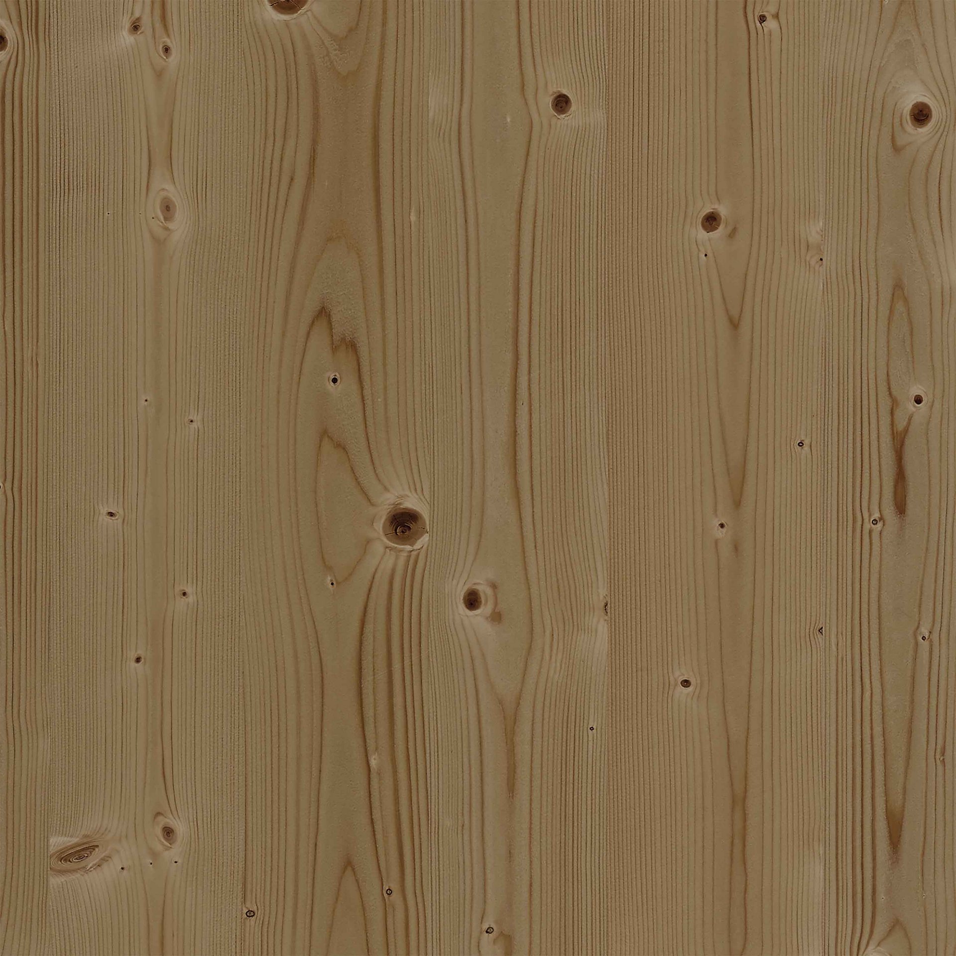 Farbkachel in lehmfichte furniert