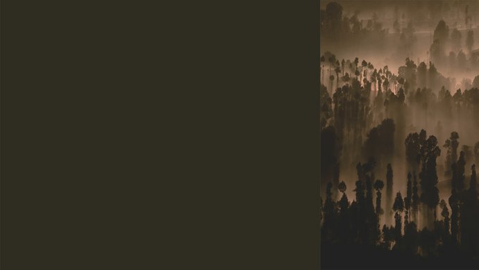 ewe nanoo® granitgrau Farbkachel in granitgrau, daneben ein farblich passendes Bild von einem Wald