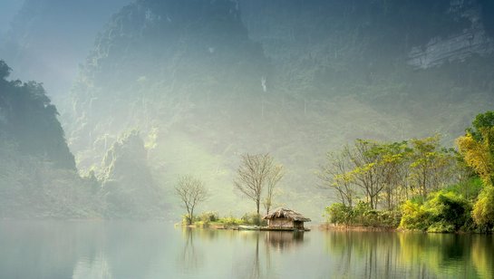 Bäume auf einer kleinen halbinsel in einem See vor Gebirge